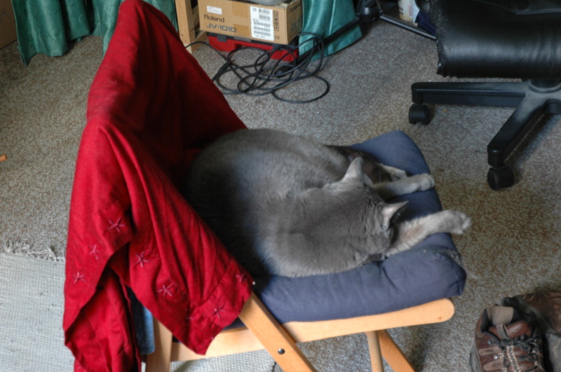 Photo 1.6 : Le chat dort, donc c'est bien